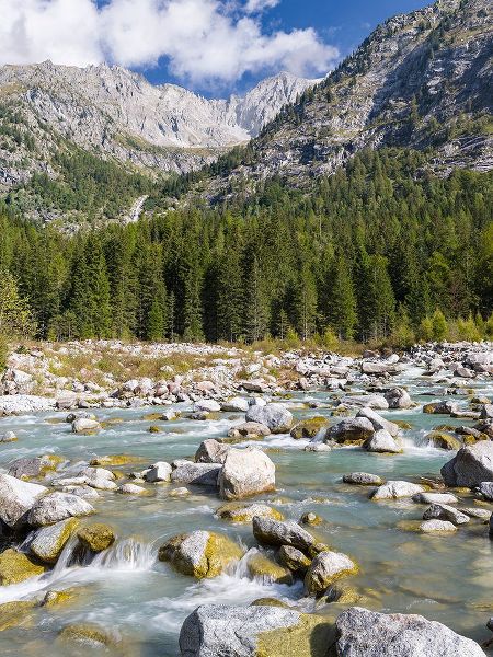 Zwick, Martin 아티스트의 River Sarca-Val di Genova in the Parco Naturale Adamello-Brenta-Trentino-Italy-Val Rendena작품입니다.